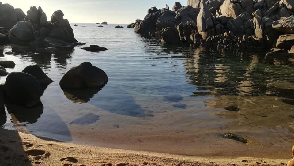 Hotel Da Patrizia Santa Teresa Gallura Zewnętrze zdjęcie