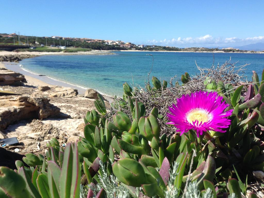 Hotel Da Patrizia Santa Teresa Gallura Zewnętrze zdjęcie
