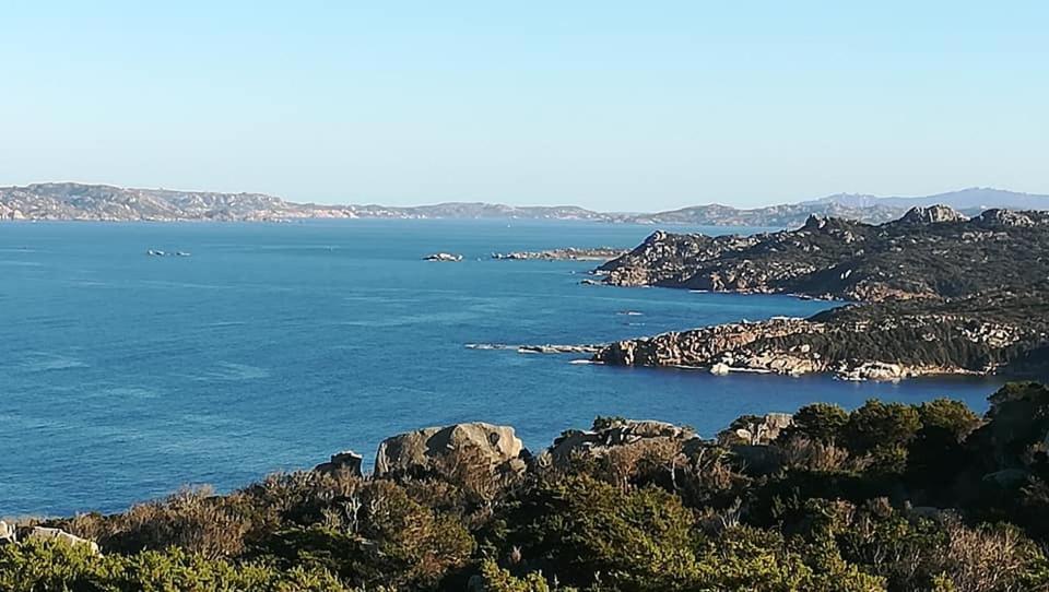 Hotel Da Patrizia Santa Teresa Gallura Zewnętrze zdjęcie